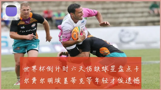 世界杯倒计时六天伤缺球星盘点卡尔费尔明埃基蒂克等年轻才俊遗憾缺席