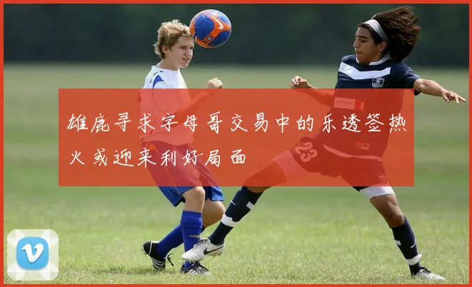 雄鹿寻求字母哥交易中的乐透签热火或迎来利好局面