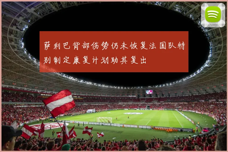 萨利巴背部伤势仍未恢复法国队特别制定康复计划助其复出